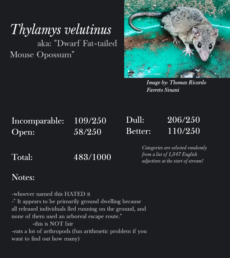 Thylamys velutinus